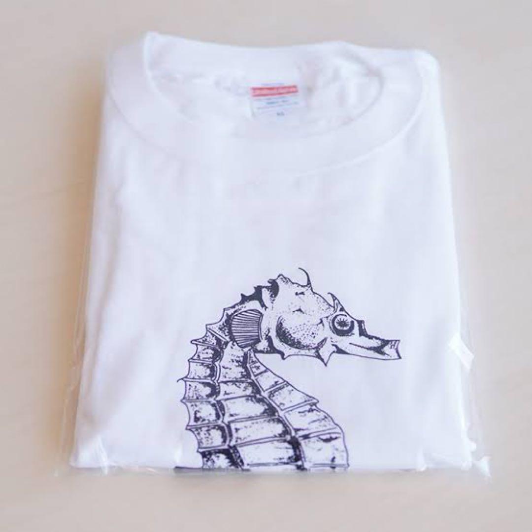 ミュージシャン aya