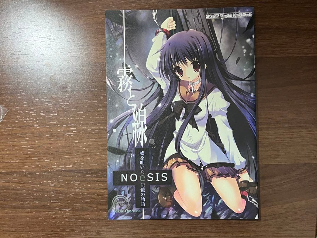 NOeSISグッズセット（同人誌、クリアファイル、抱き枕カバー、一部サイン入り）