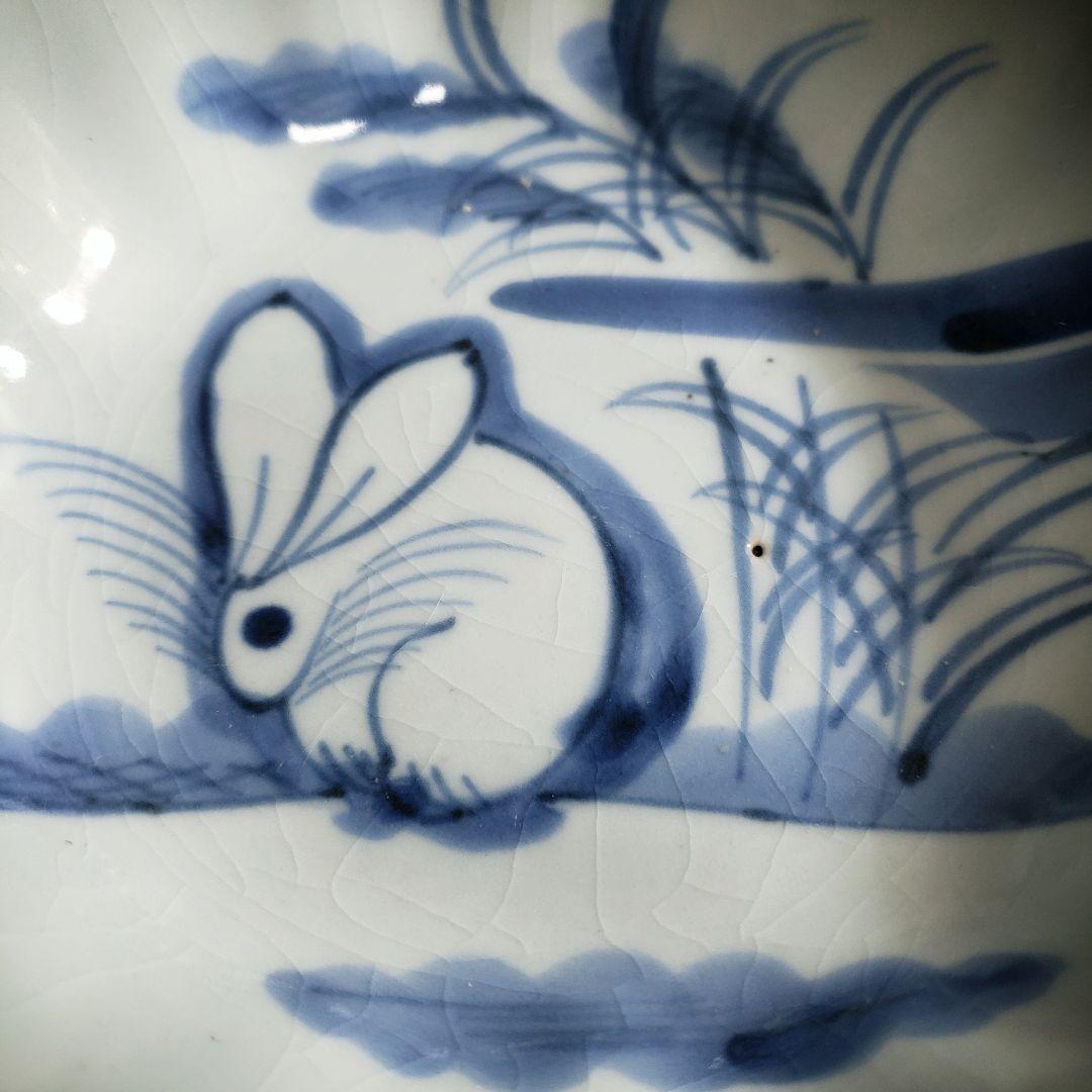 なます皿　兎　ウサギ　古伊万里　江戸　アマテ　ロ号