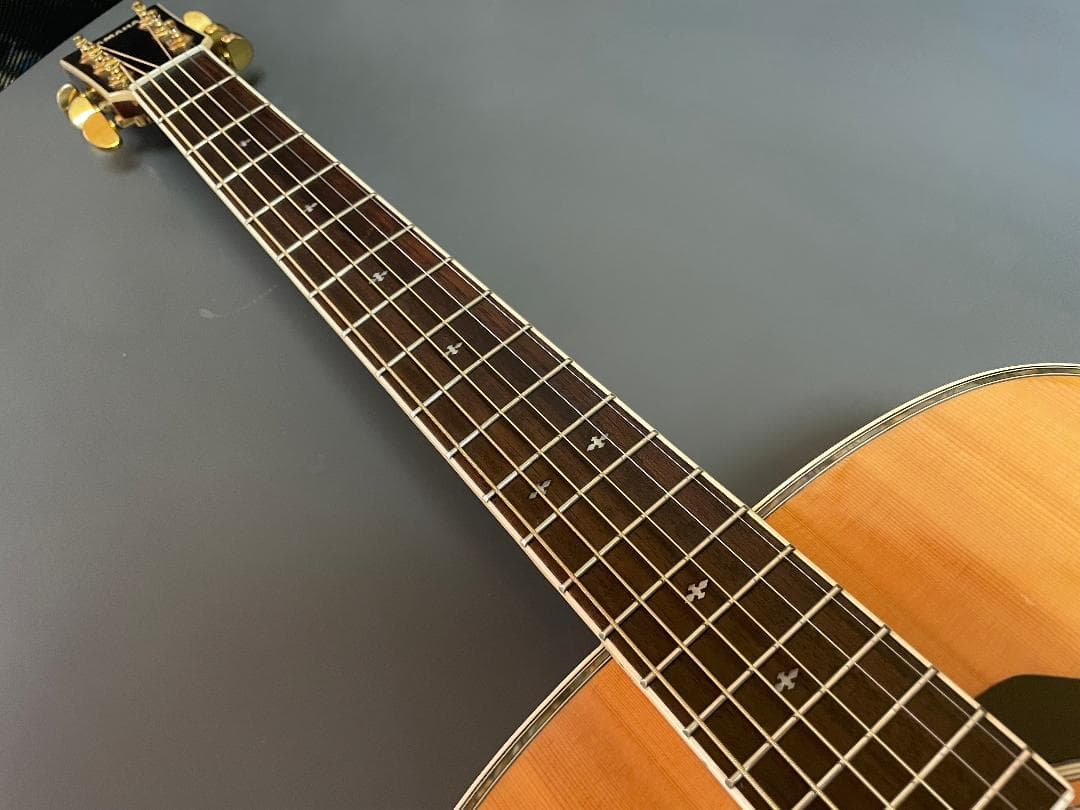 ギター YAMAHA DW-5S