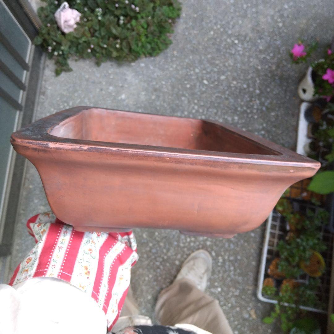 ミニ鉢、盆栽鉢、盆栽小鉢、鉢、植木鉢、山野草鉢、蘭鉢、盆栽