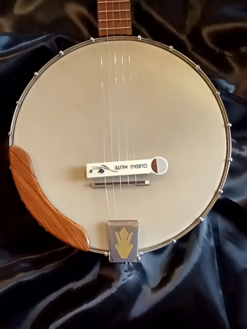 【送料込】Piales　ピアレス　バンジョー　日本製　消音器付　整備済