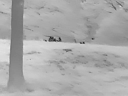 給料日セール！【AI搭載高性能】GTMedia AI15 20mmレイル対応