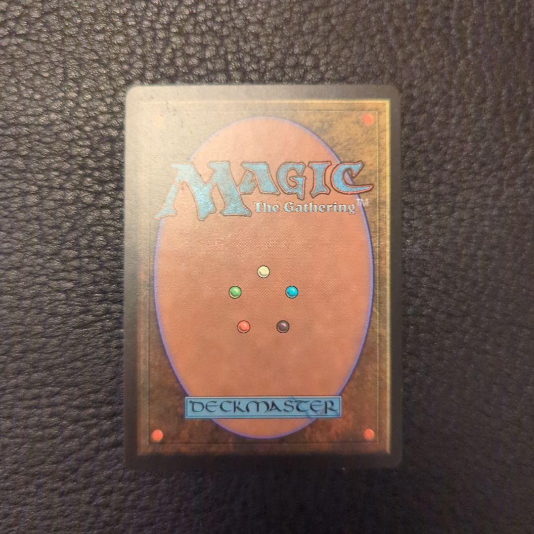 Survival of the Fittest 適者生存