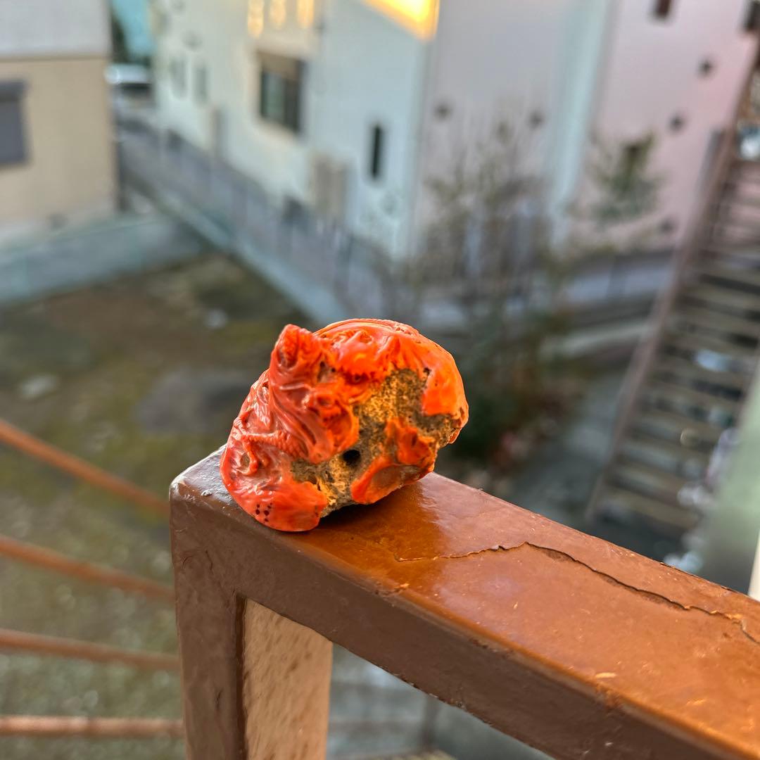 赤珊瑚　根付　大名　根付　龍