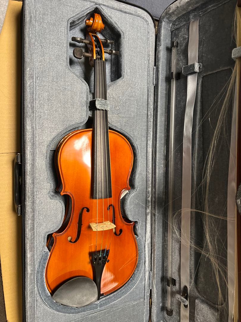 STENTOR バイオリン 木製 オレンジ色