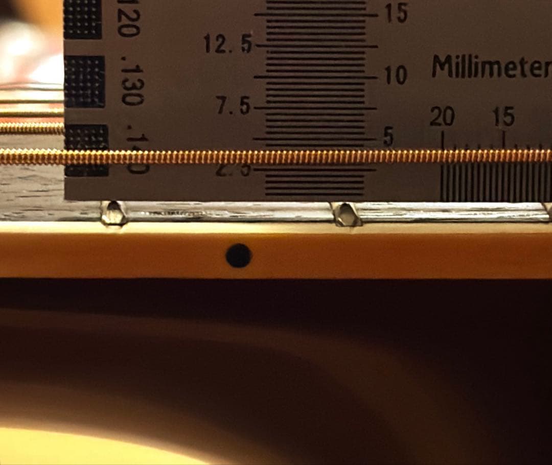 【エレアコ化】ThreeS AE-25 牛骨サドル＆3点式PU搭載 調整済　JV