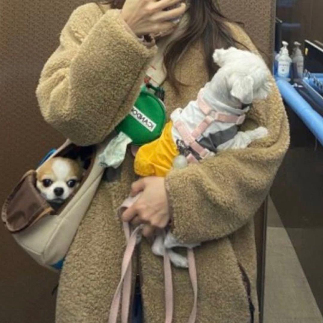 ICANDOR キャリーバッグ ベージュMサイズ