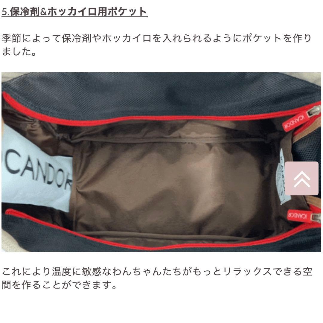 ICANDOR キャリーバッグ ベージュMサイズ