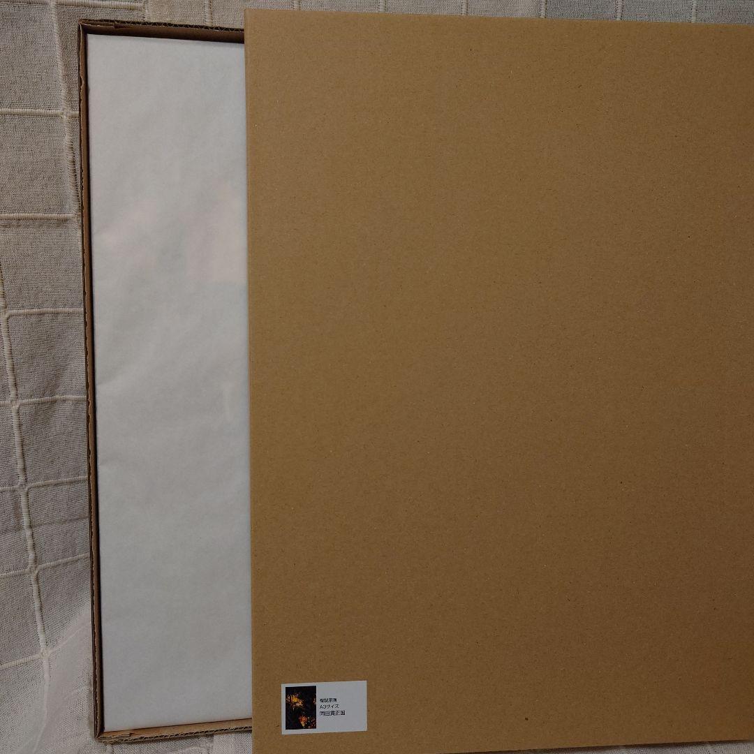 灯結び展　複製原画 A3サイズ同田貫正国