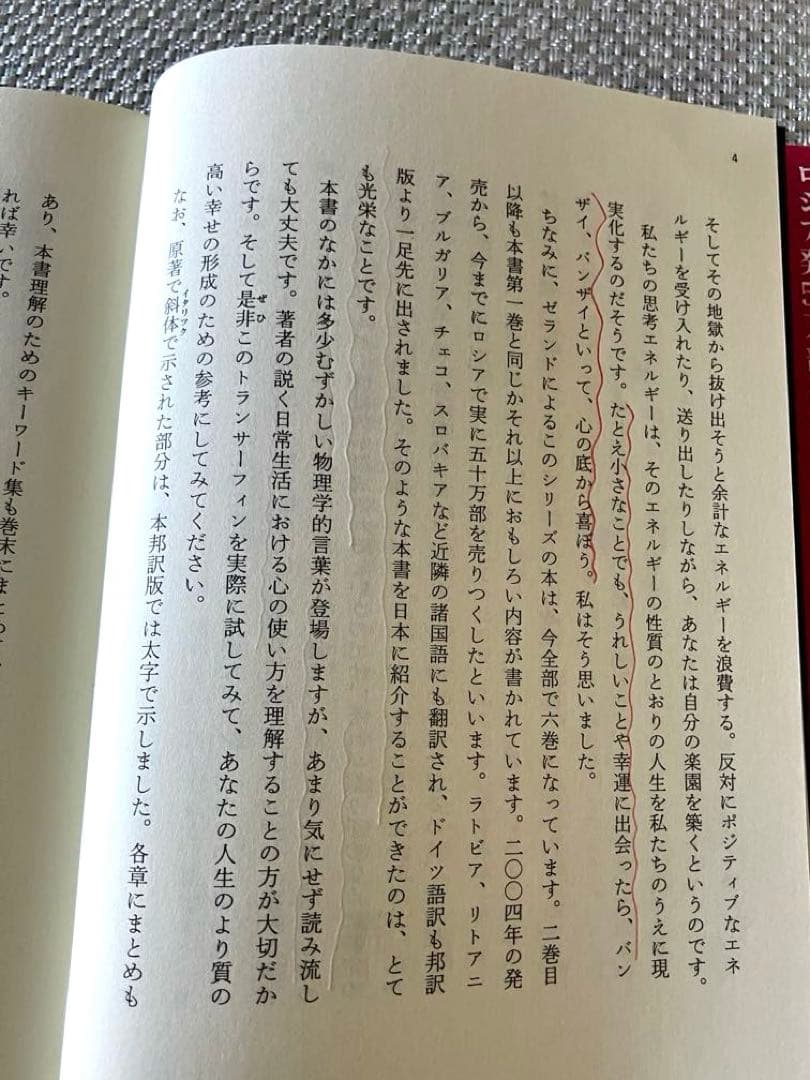 【2冊セット】振り子の法則リアリティ・トランサーフィン ヴァジム・ゼランド著
