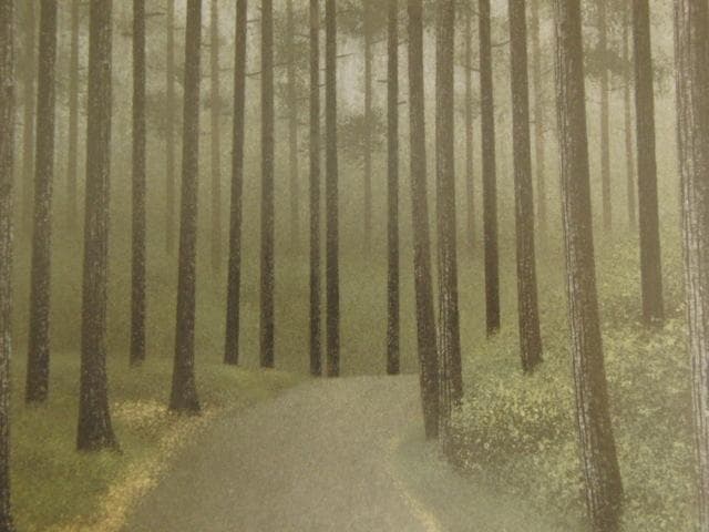 小泉智英、【木洩日】、希少な額装用画集より、新品額装付、状態良好