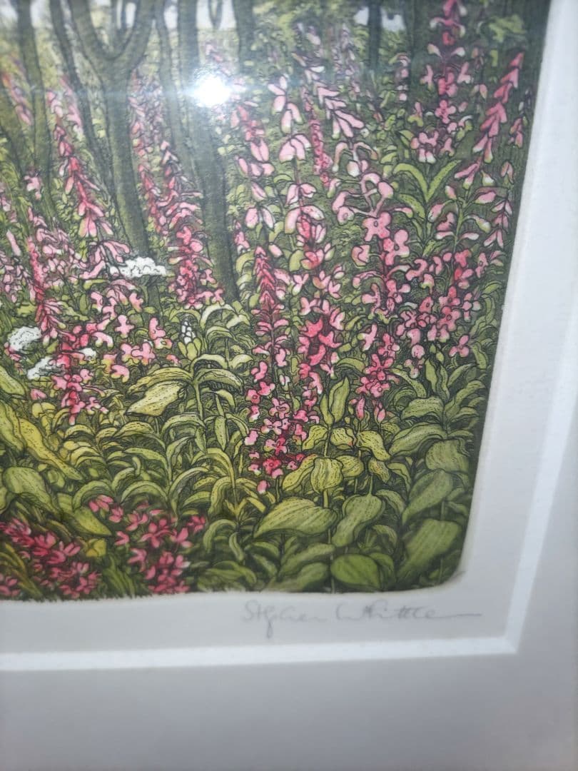 ステファン・ウイットル氏☆銅版画☆「森の中の散歩」