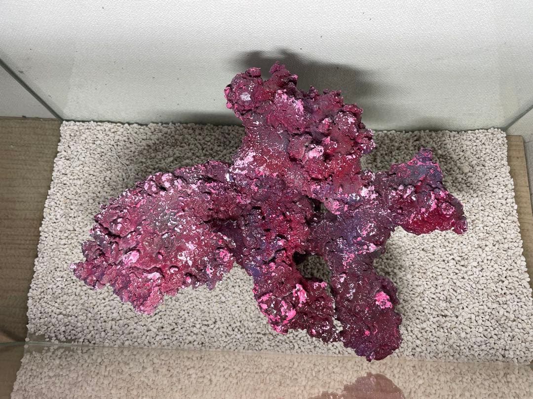 人工ライブロック RR60 アク抜き済み安心塗料使用