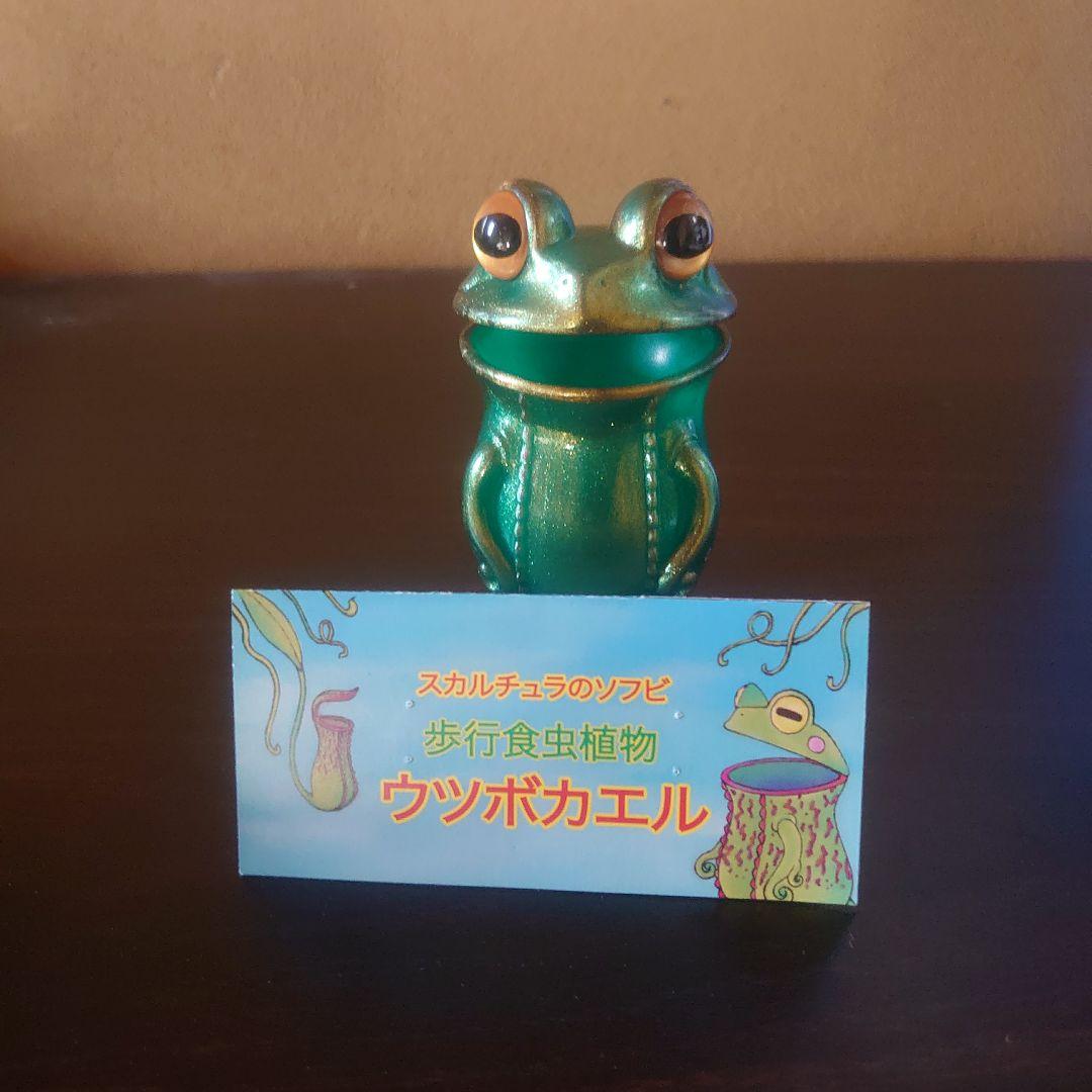 スカルチュラ ウツボカエル 神龍カラー ワンフェス2025冬