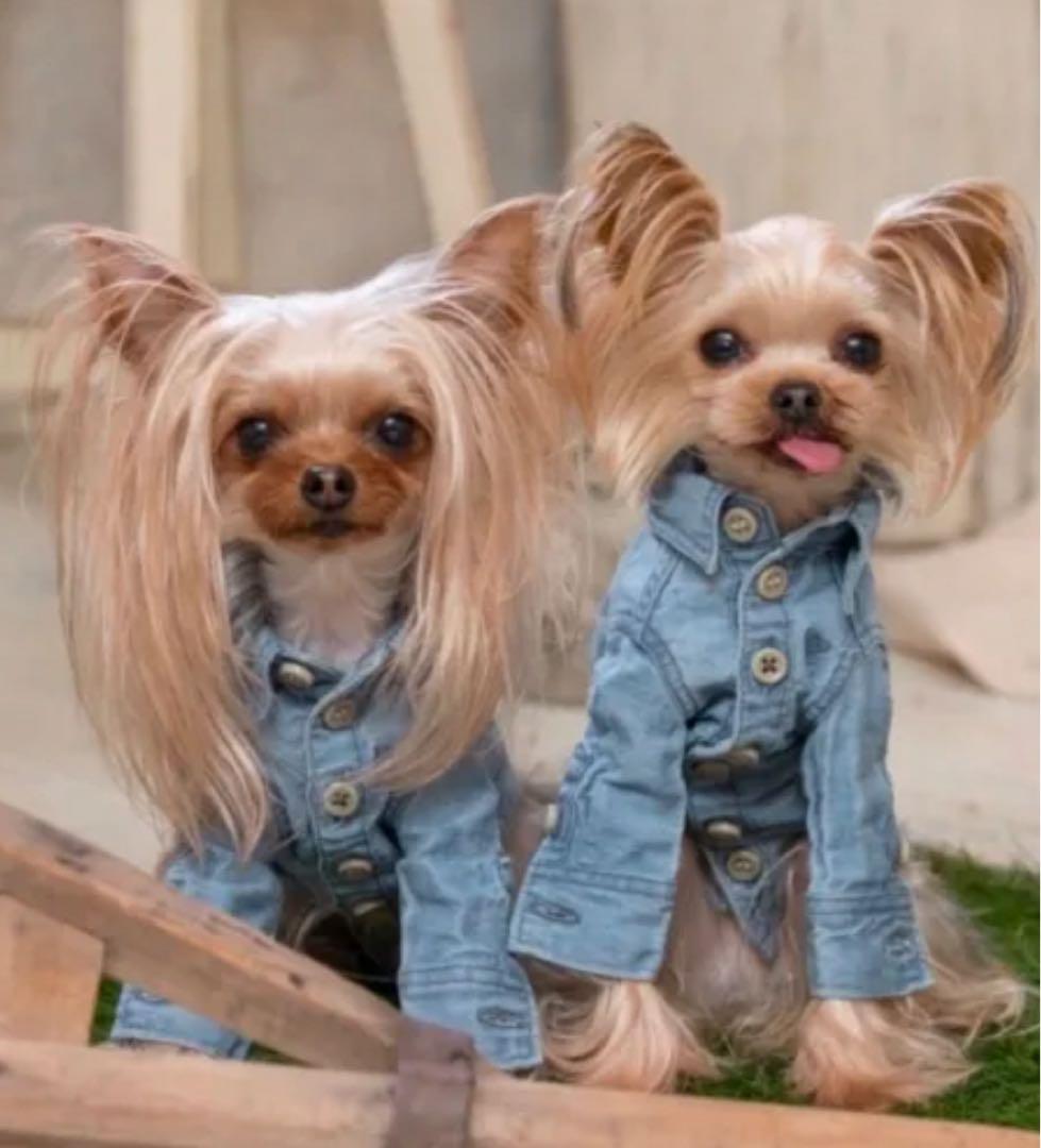 犬服・アクセサリー pp closet BIO BLEACH DENIM SHIRT 34