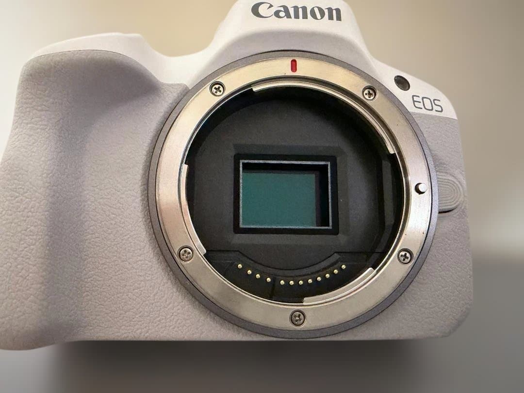 ショット数約1,100回　EOS R50 ホワイト