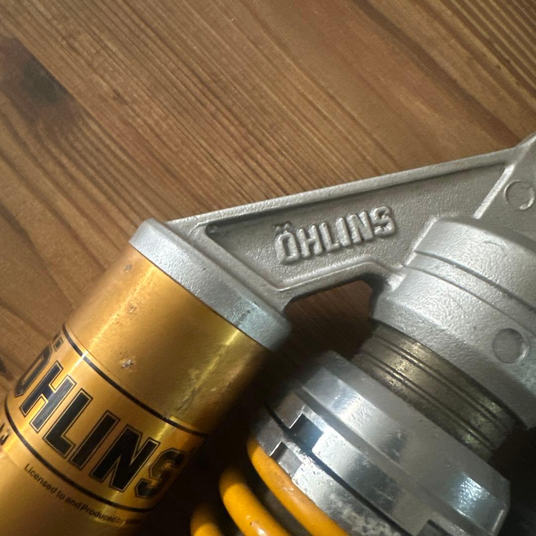 オーリンズ　ヤマリンズ