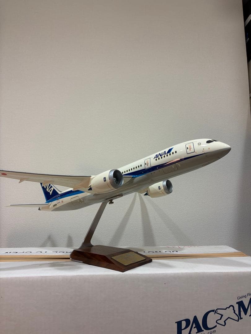 1/100 PACMIN パックミン ANA B787-8 JA803A