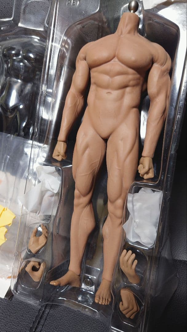 ファイセン・リミテッド 1/6スケール フレキシブル 男性素体 フィギュア