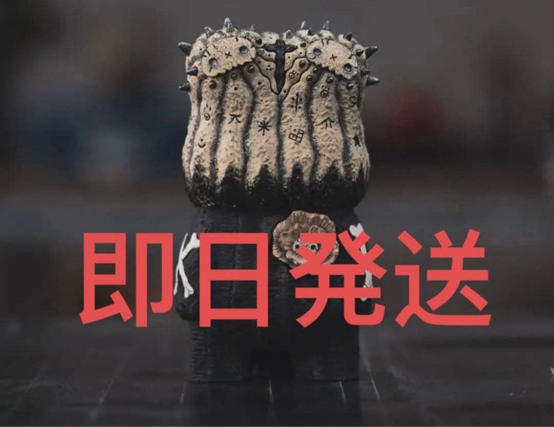 羅本製所 Copiapoa Twin Star 抽選限定品　新品未開封
