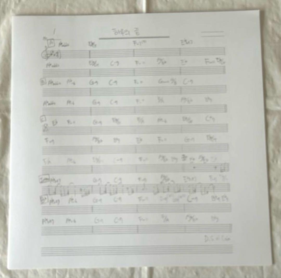 ジョンヒョン　Op.1 小品集　レコード　LP SHINee レア　ソロ