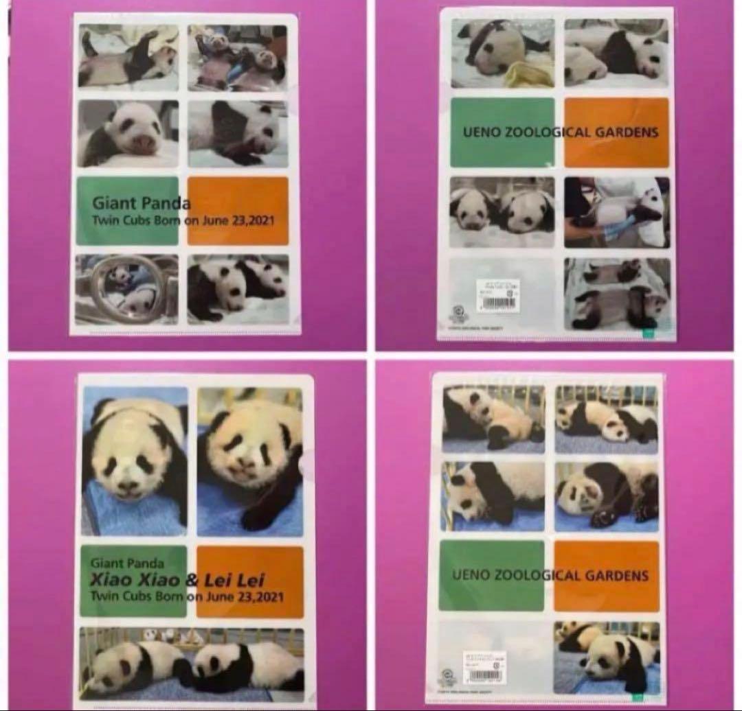 恩賜上野動物園＊シャオシャオ＆レイレイ クリアファイルとポストカードのセット