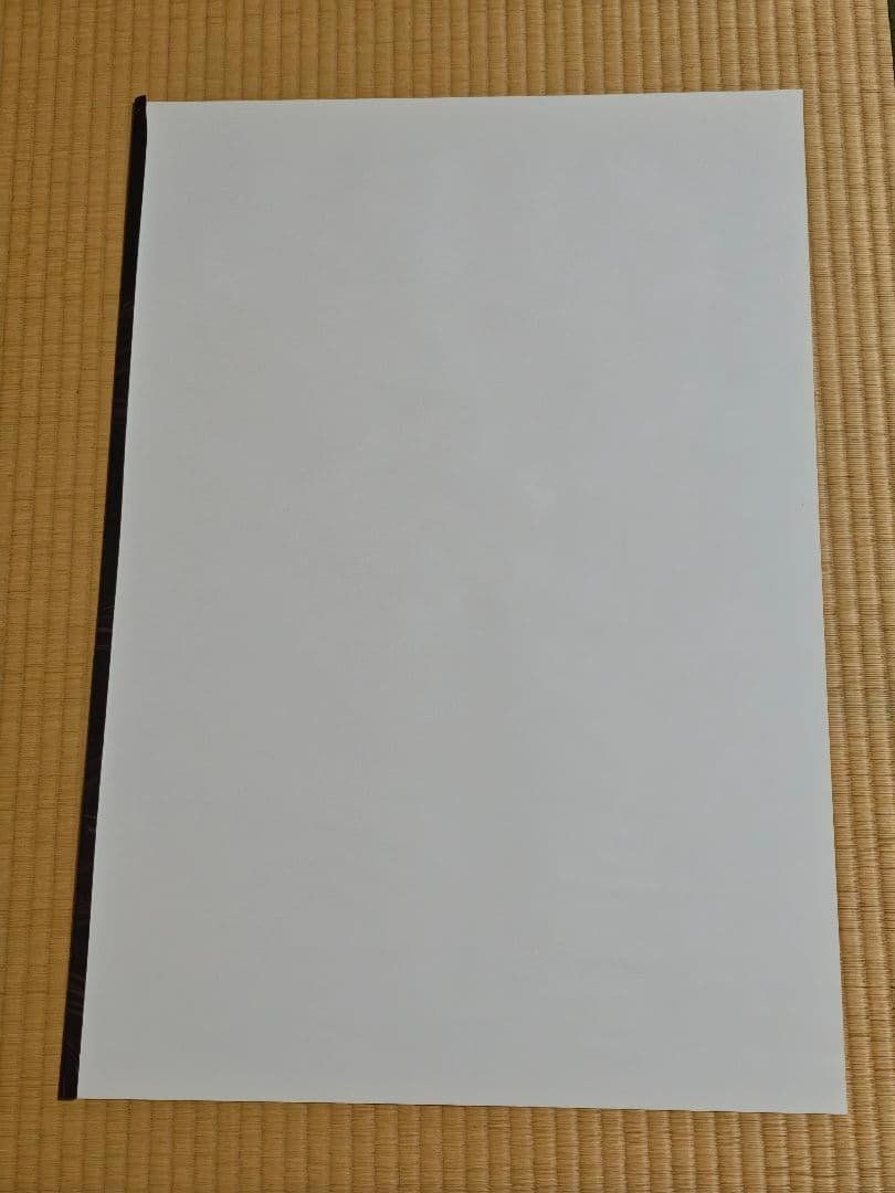 ベヨネッタ ブラッディフェイト映画 ポスター フレーム額縁付き