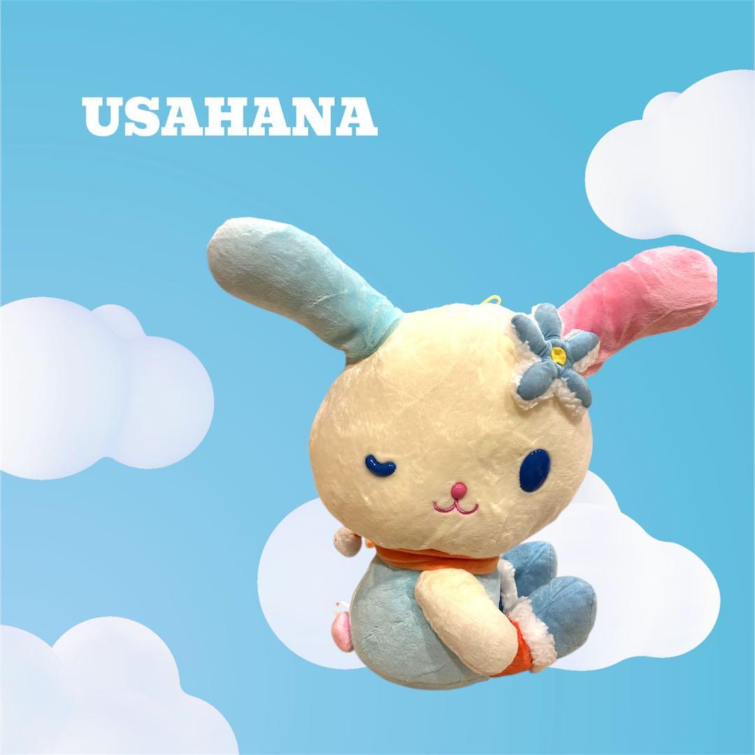 【SALE】USAHANA ぬいぐるみ【レア】ウサハナ
