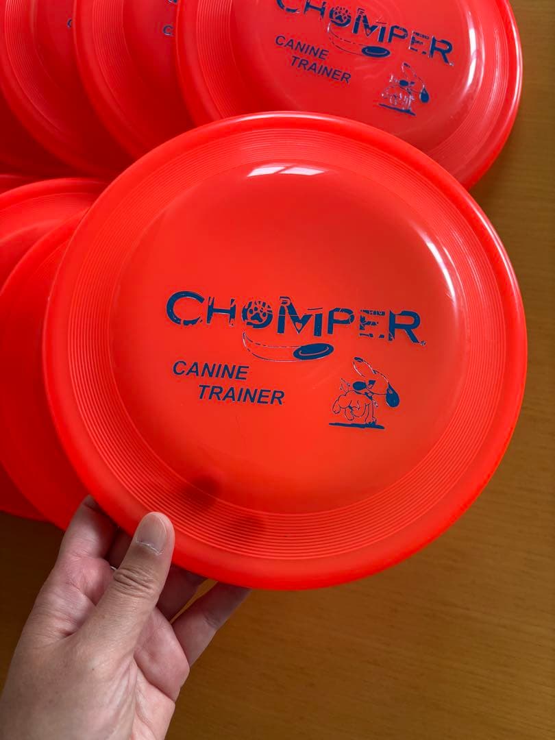 【新品未使用】犬用 ディスク ミスプリント 夏用 オレンジ 20枚