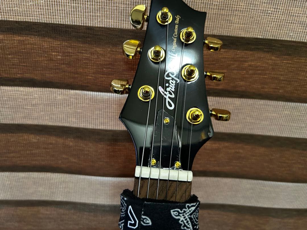 Aria Pro ll アリアプロ2 オールマホガニー レスポールタイプ