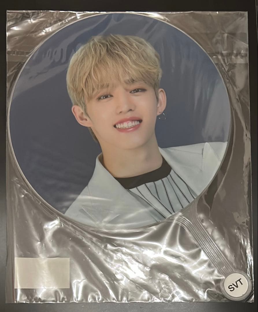 エスクプス うちわ まとめ売り ソウルコン ケレン ペンミ SEVENTEEN