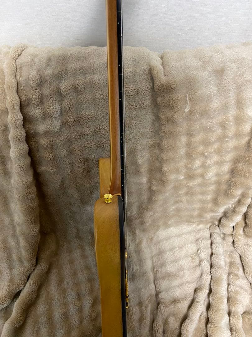 テレキャスタータイプ エレキギター ギターファクトリー製