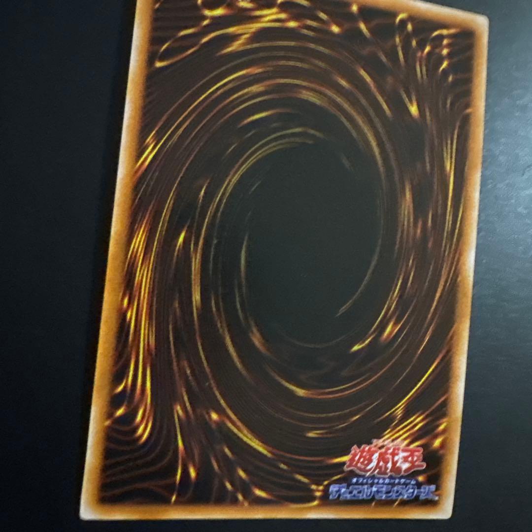 聖なる魔術師 光属性 トレーディングカード OCG デュエル
