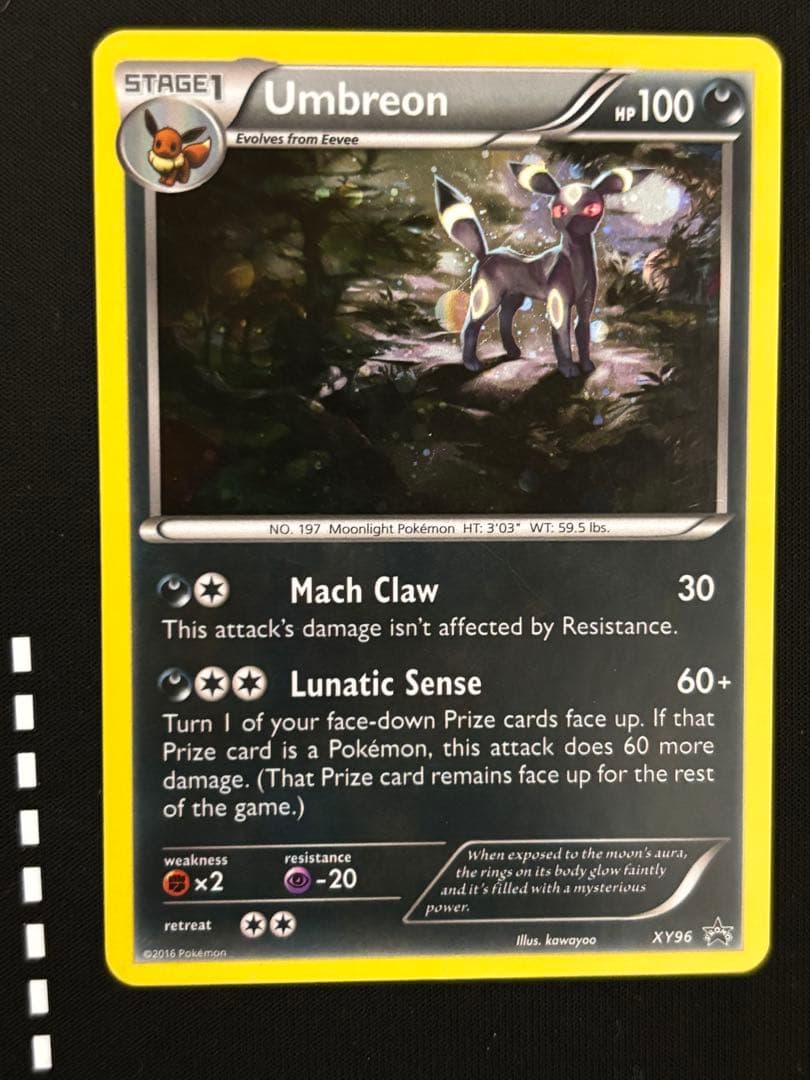 d*4様 ブラッキーナイトバトルプロモ英語版 xy96 正規品Umbreon