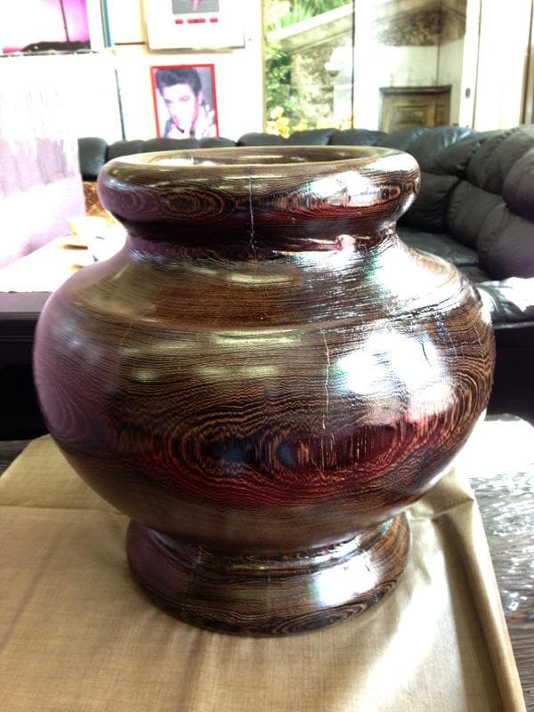 ★ラッキー特価！★ タガヤサン（鉄刀木）45cm 　特大壷