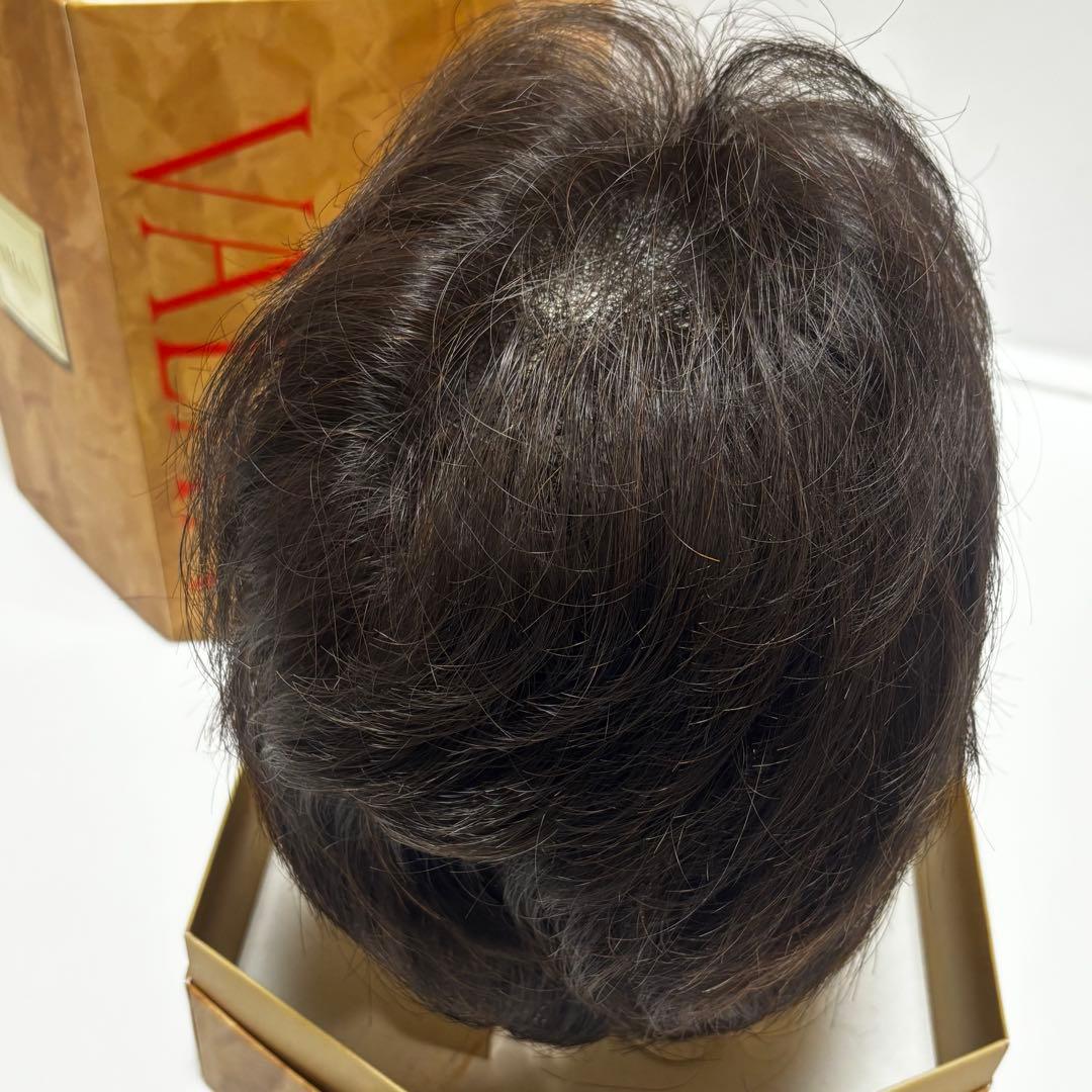 フォンテーヌ　ヴァラン　ナチュラルショートリバース　ウィッグ　VM33 F2B