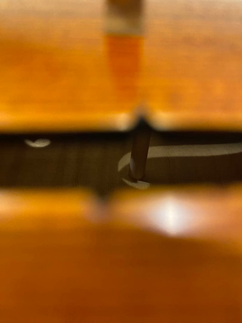 【証明書付き・未使用】　gliga MAESTRO 4/4