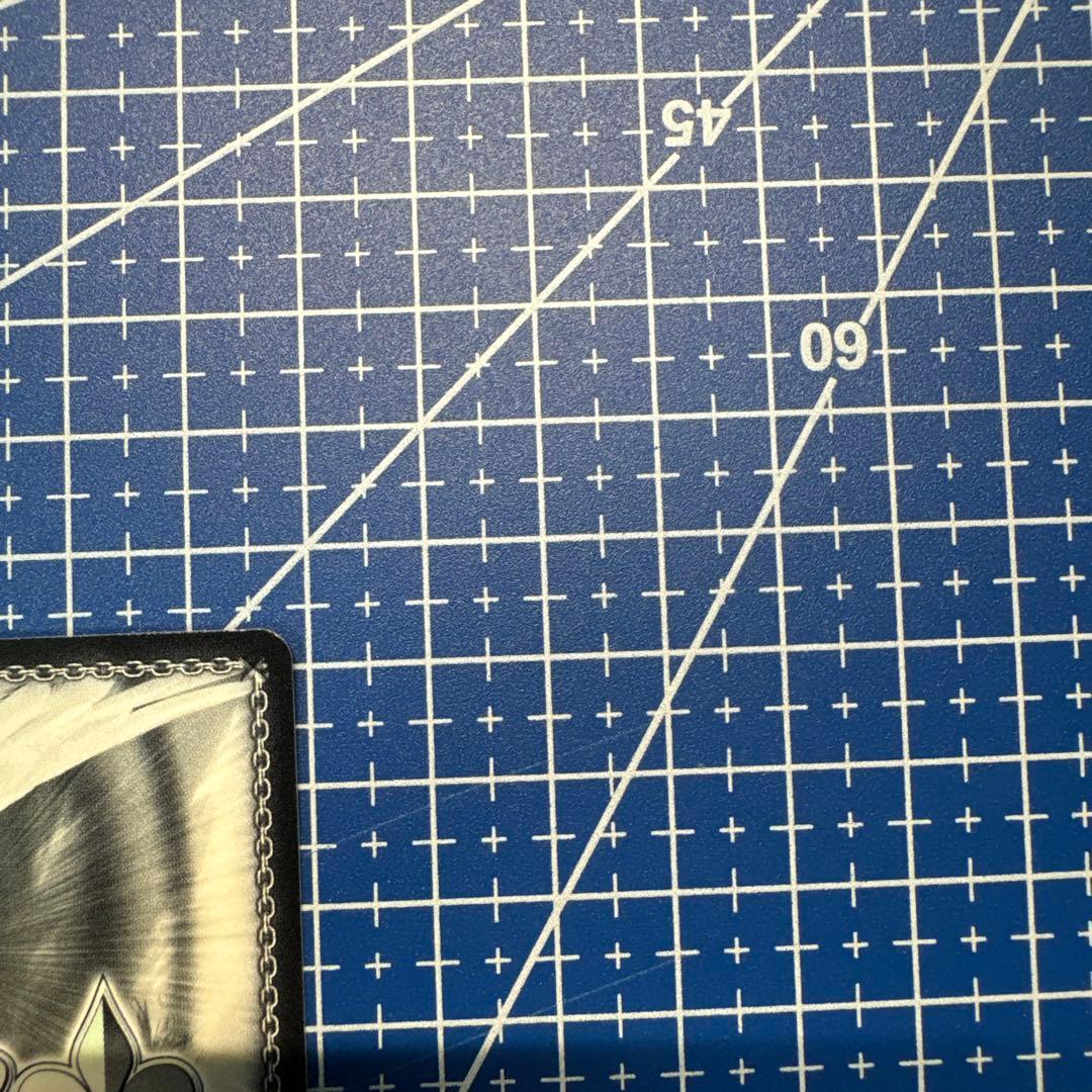 ヴァイス 貴族令嬢の幼馴染 ディア SP 角川スニーカー文庫　435