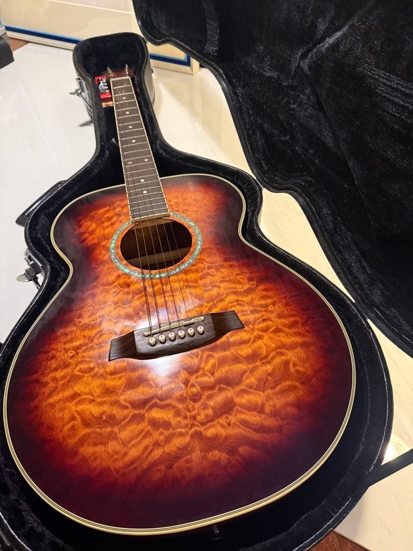Ibanez アコースティックギター ハードケース付