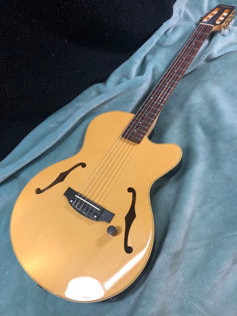 M*9様 ヤマハ　AEX500N エレガット