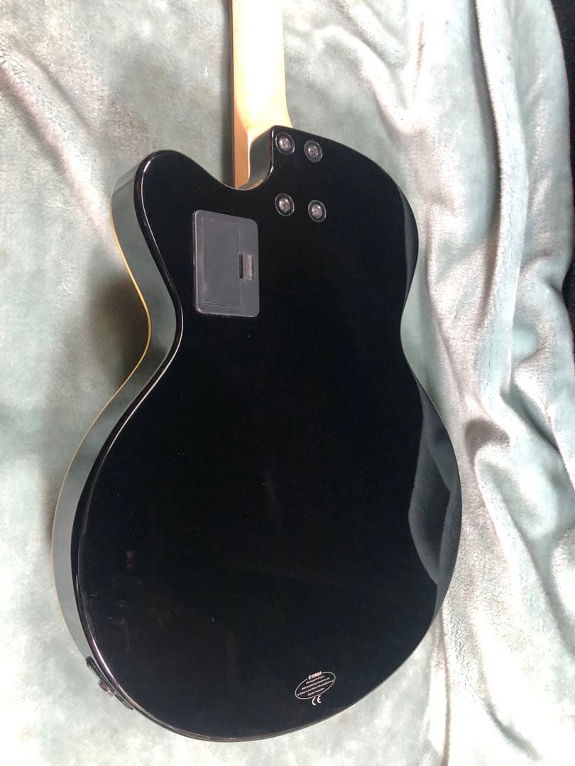 M*9様 ヤマハ　AEX500N エレガット