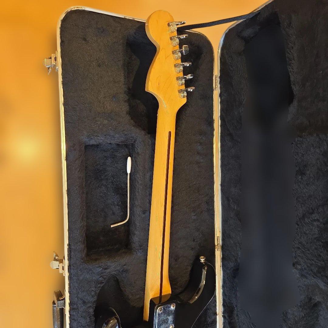 Navigator ESPARTO ストラト　ハードケース付き