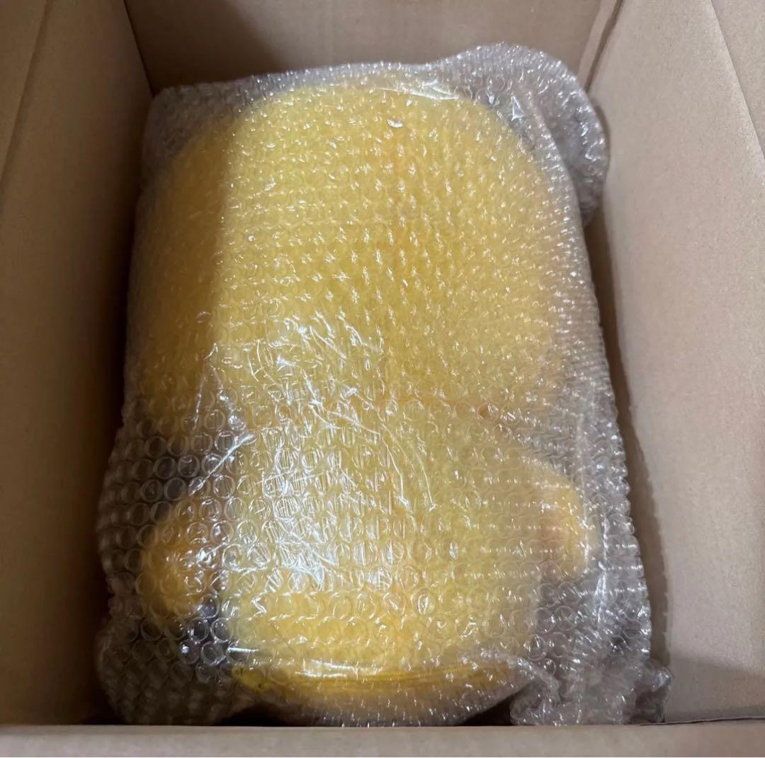 SHINee テミン 40cmドール テマリ 新品未開封