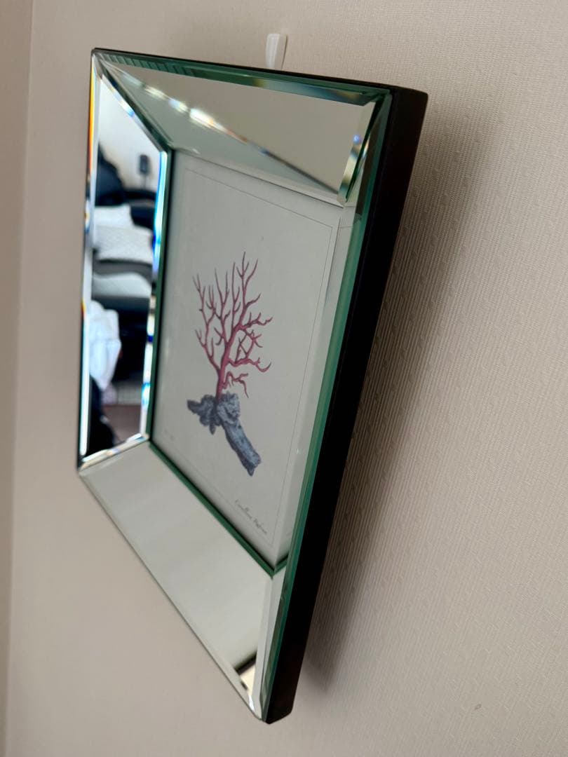 高級4面ミラーのフォトフレーム 額縁 四角形 赤いコーラル