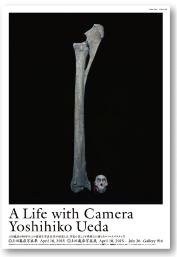 上田義彦 Life with Camera ポスター3点　アンディ・ウォーホル