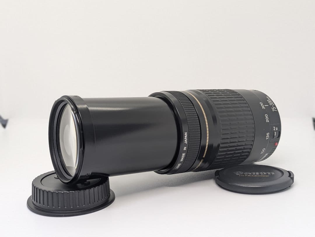 2月11日限定価格【超望遠レンズ】Canon EF 75-300mm USM