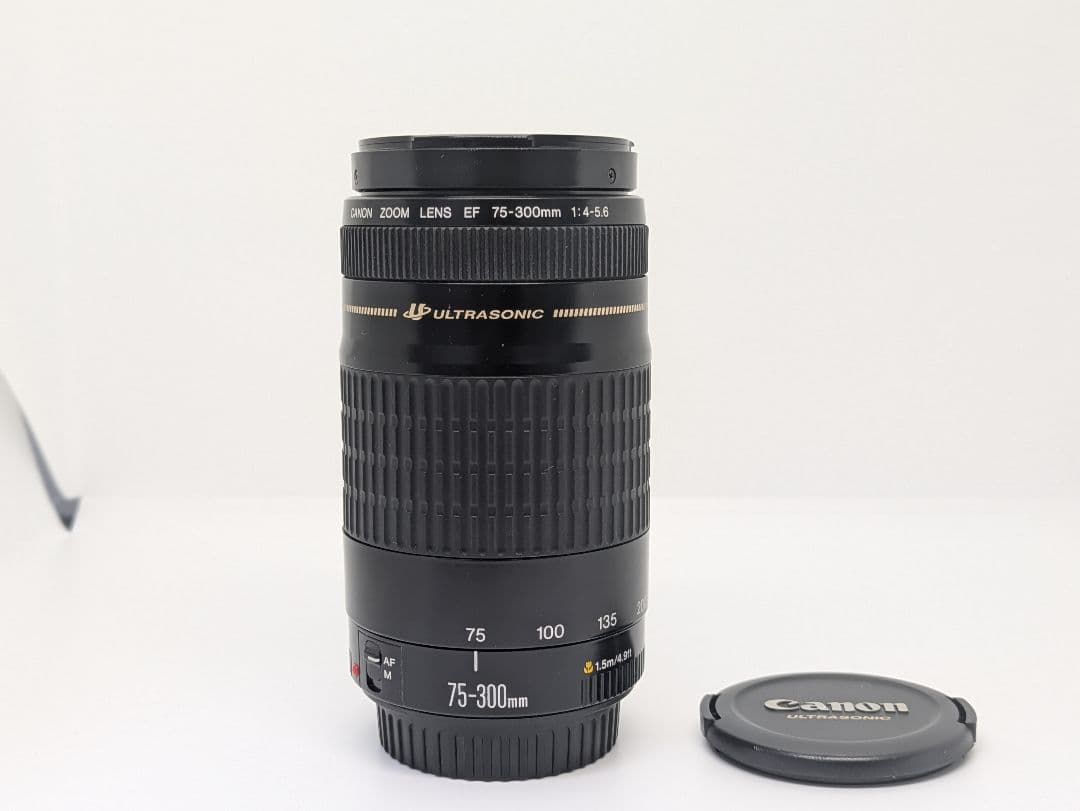 2月11日限定価格【超望遠レンズ】Canon EF 75-300mm USM