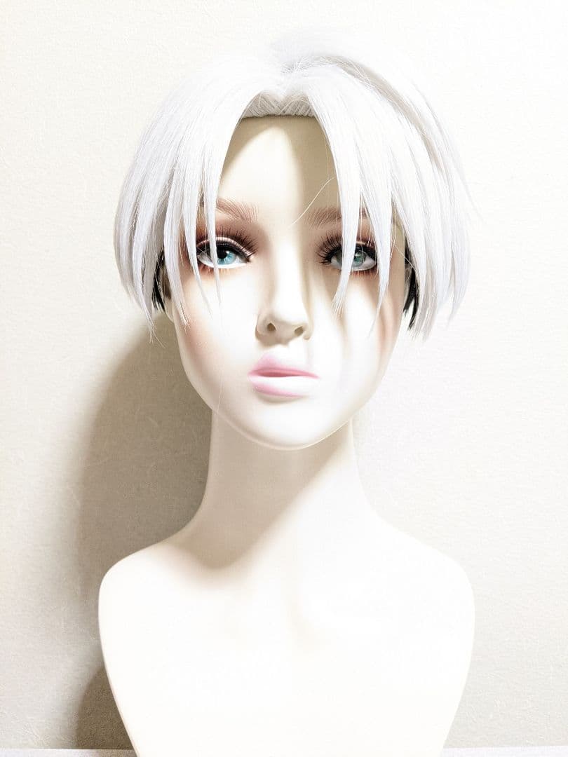 ✠草薙理解 ウィッグ✠セット済 カリスマ コスプレ