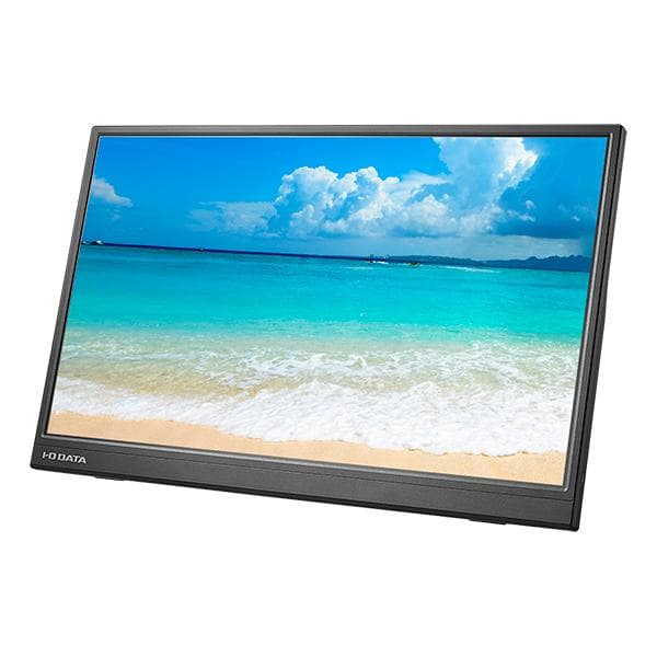 I-O DATA LCD-YC172A-FX 17.3インチモニター【B】